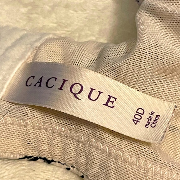 EUC Lane Bryant Cacique Lightly Padded Bra 40D - Picture 3 of 5